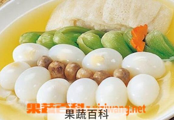 果蔬百科鸽子蛋怎么吃最有营养