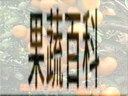 果蔬百科蜜桔