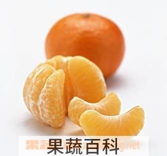 果蔬百科橘子