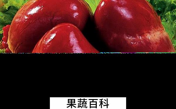 果蔬百科猪心的营养价值与功效