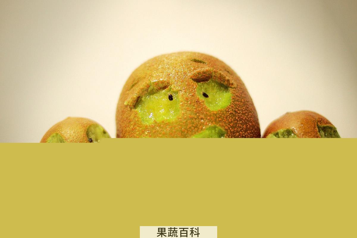 果蔬百科猕猴桃