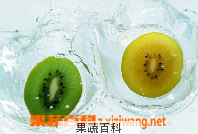 果蔬百科猕猴桃