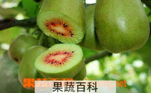 果蔬百科猕猴桃