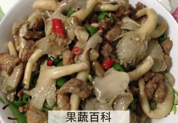 果蔬百科秀珍菇的家常做法