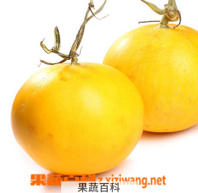 果蔬百科伊丽莎白瓜的营养价值