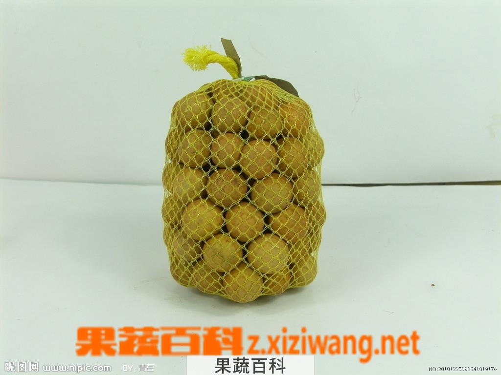 果蔬百科龙眼