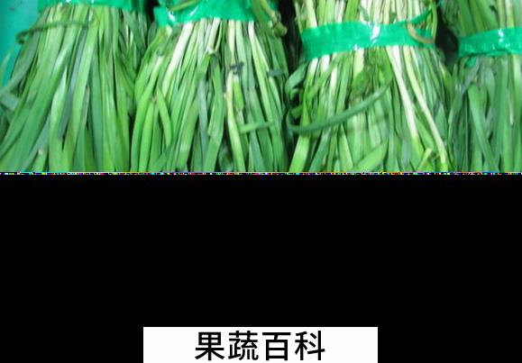 果蔬百科春天吃韭菜的好处有哪些