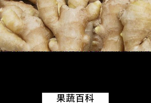 果蔬百科生姜的妙用
