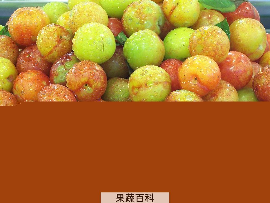果蔬百科李子