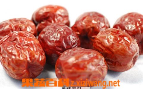 大枣的药物功效和大枣的药材性状区别 大枣的药物功效和大枣的药材性状一样吗