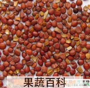 果蔬百科枣仁