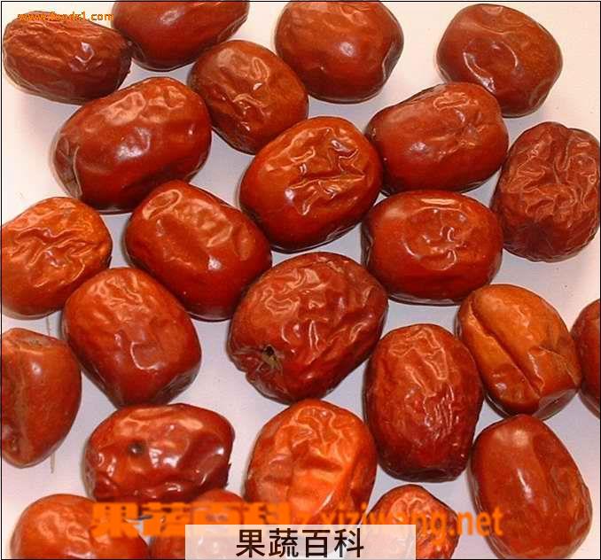 果蔬百科大枣