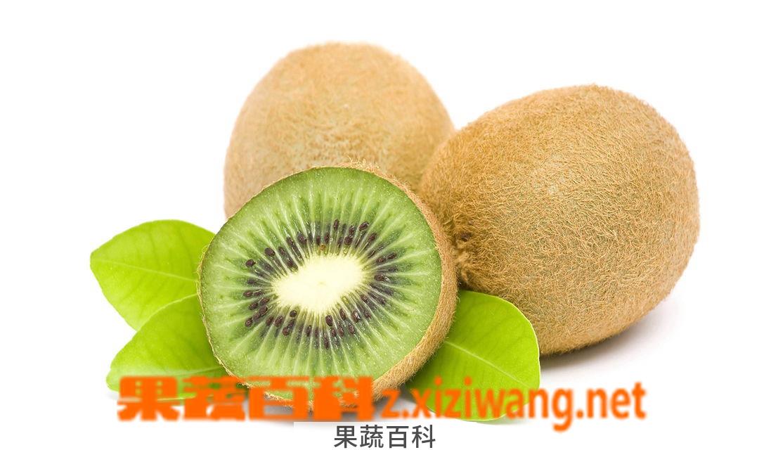 果蔬百科