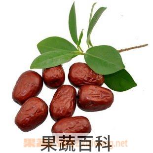 果蔬百科枣
