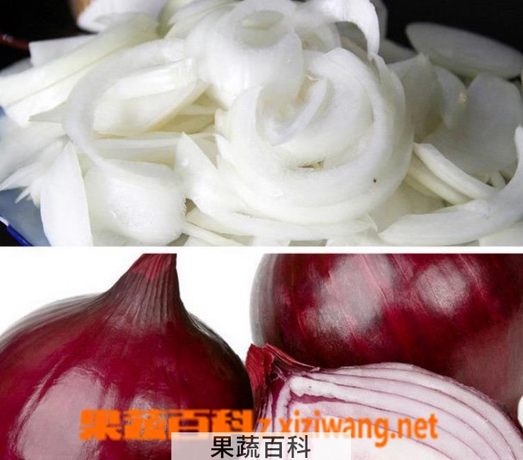 果蔬百科洋葱生吃和熟吃的区别