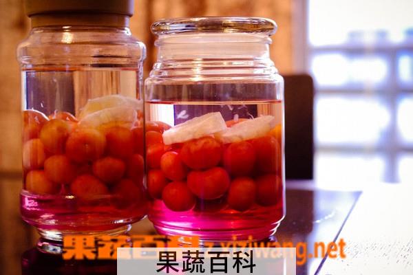 果蔬百科樱桃酒