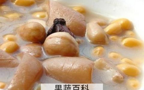黄豆炖猪皮怎么做好吃窍门 黄豆炖猪皮怎么做好吃又简单