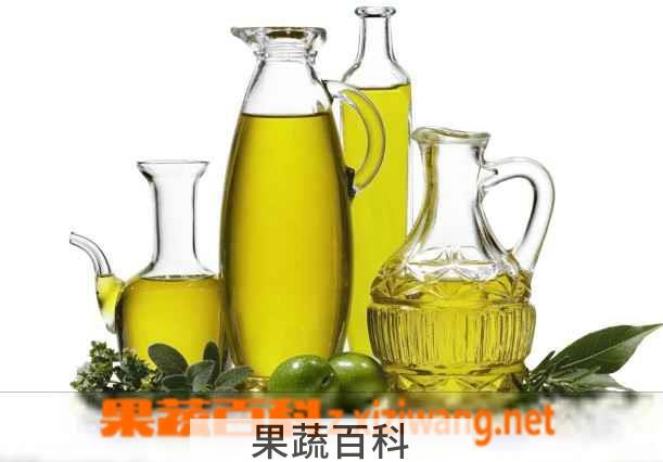 果蔬百科橄榄油