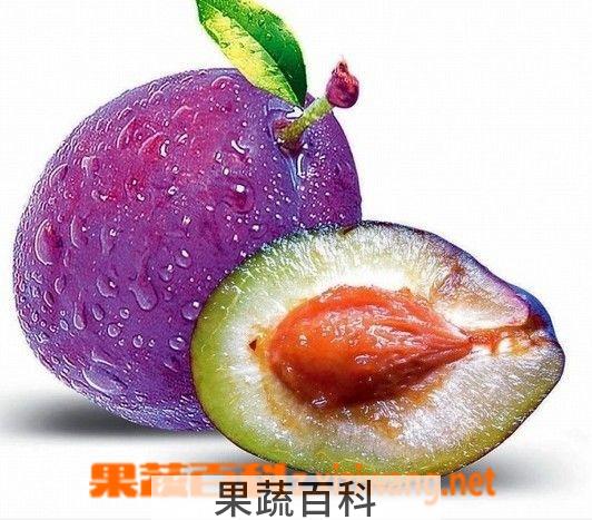 果蔬百科西梅
