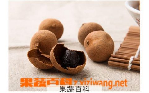 桂圆的功效与作用及营养价值 桂圆的功效与作用的功能与主治
