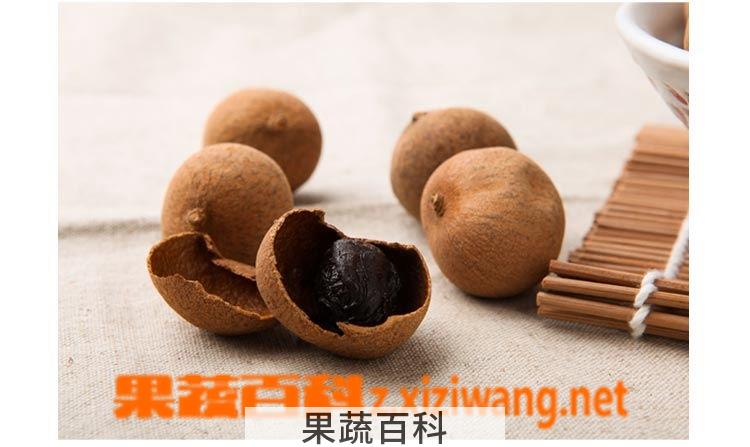 果蔬百科桂圆