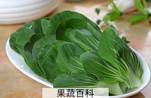 果蔬百科油菜的功效与作用