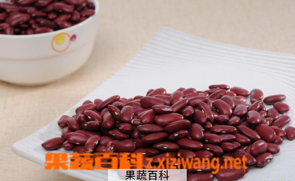 果蔬百科赤红豆的功效与作用