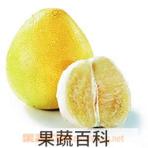 果蔬百科柚子