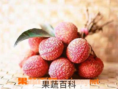 果蔬百科荔枝