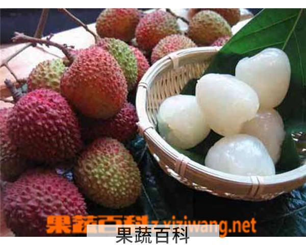果蔬百科荔枝