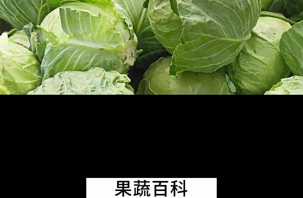 果蔬百科哪些蔬菜能补钙
