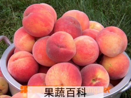果蔬百科水蜜桃