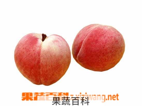 果蔬百科水蜜桃