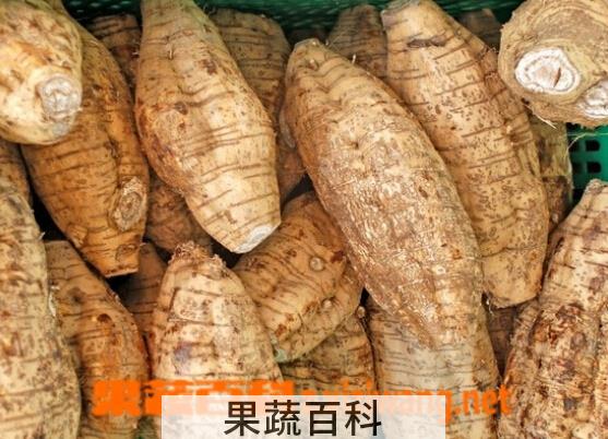 果蔬百科粉葛的功效与作用
