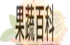 果蔬百科刺角瓜