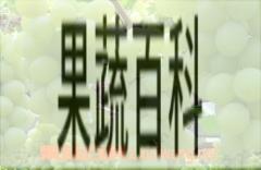 果蔬百科水晶葡萄