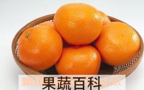 桔子的功效和营养价值的好句 桔子的功效和营养价值