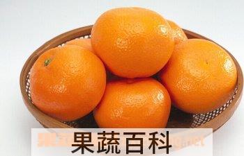 果蔬百科桔子