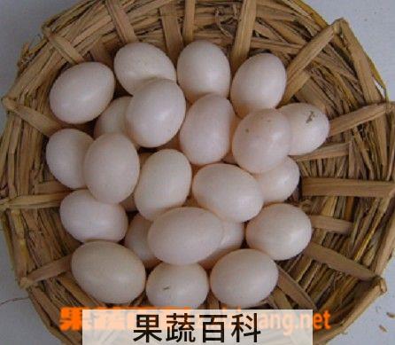 果蔬百科鸽子蛋的功效与作用