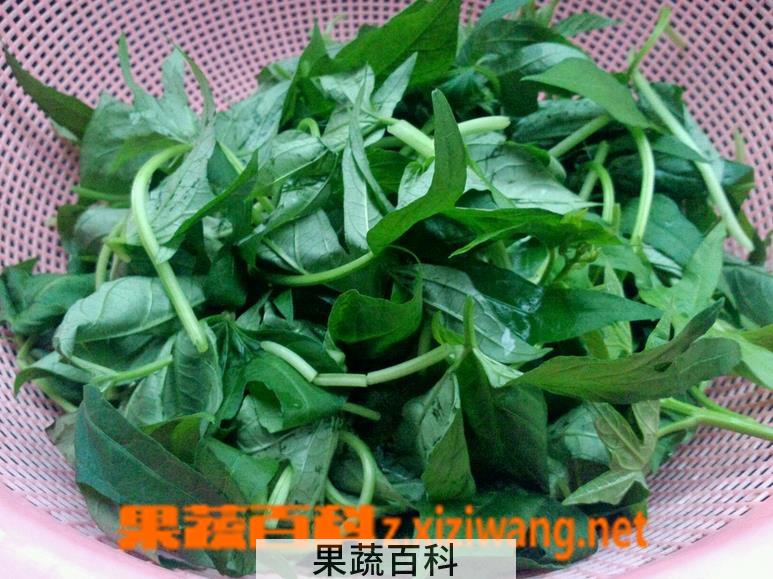 果蔬百科地瓜蔓怎么做好吃