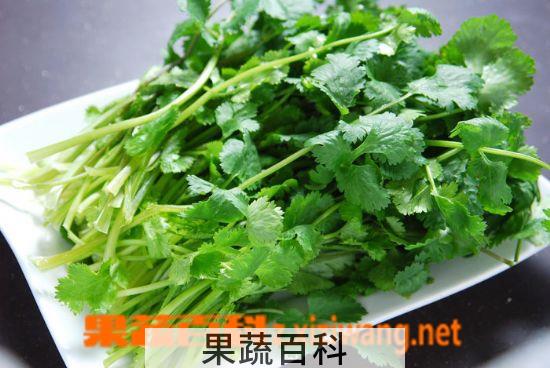 果蔬百科香菜怎么做好吃
