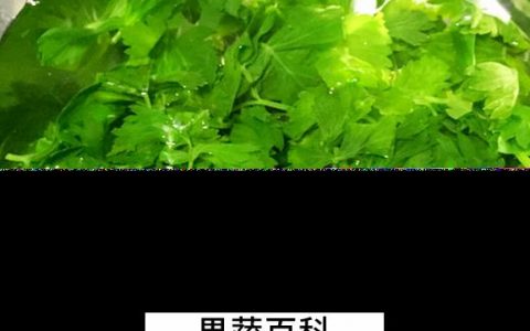 芹菜叶怎么做好吃法 芹菜叶怎么做好吃的东西