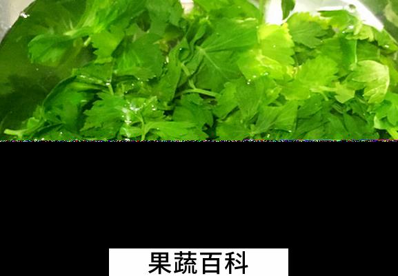 果蔬百科芹菜叶的常见吃法