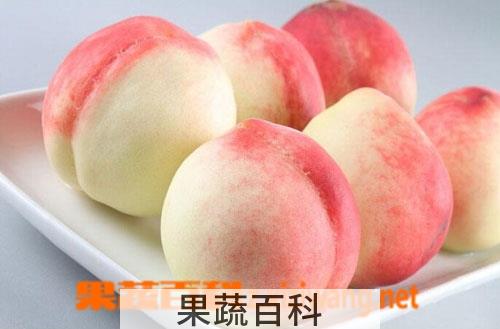果蔬百科水蜜桃