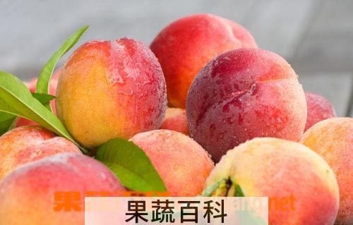 果蔬百科桃子