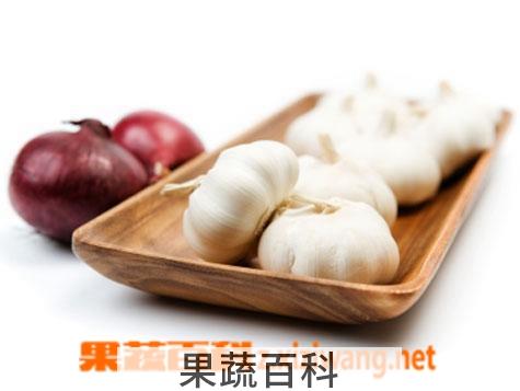 果蔬百科吃大蒜的坏处