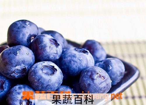 果蔬百科蓝莓