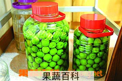 果蔬百科梅子