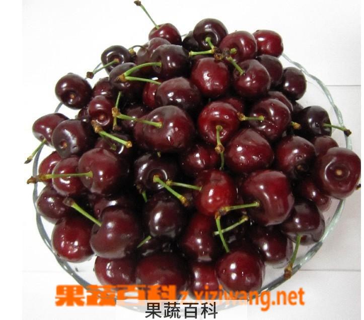果蔬百科车厘子