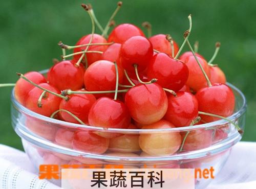 果蔬百科樱桃